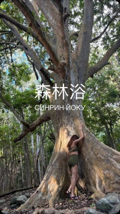 Black River Gorges National Park в апреле — фото погоды (2026-04-30)