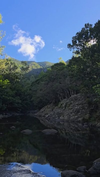 Black River Gorges National Park в июне — фото погоды (2026-06-07)