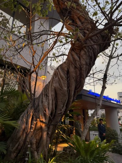 Southwest Grand Hotel 那覇 国際通り — фото погоды в марте (2026-03-27)