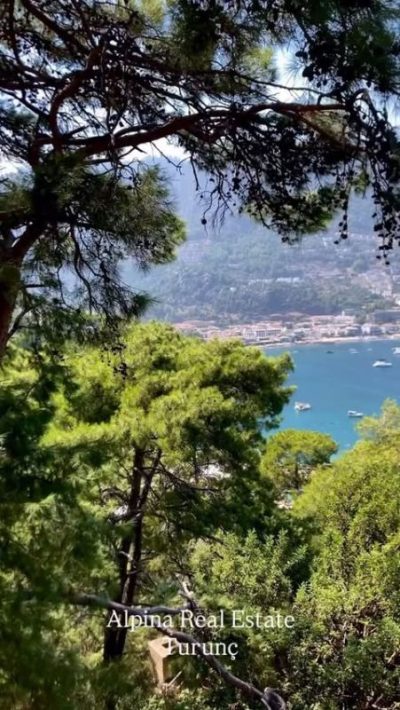 Turunç, Muğla, Turkey в феврале — фото погоды (2026-02-11)