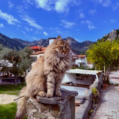 Turunç, Muğla, Turkey в марте — фото погоды (2026-03-22)