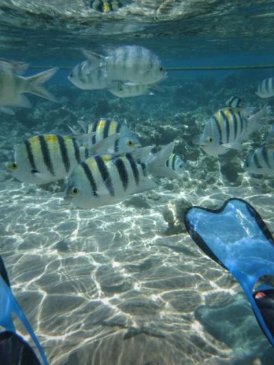 Somabay, Red Sea в июле — фото погоды (2026-07-01)
