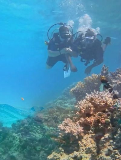 Somabay, Red Sea в июле — фото погоды (2026-07-07)