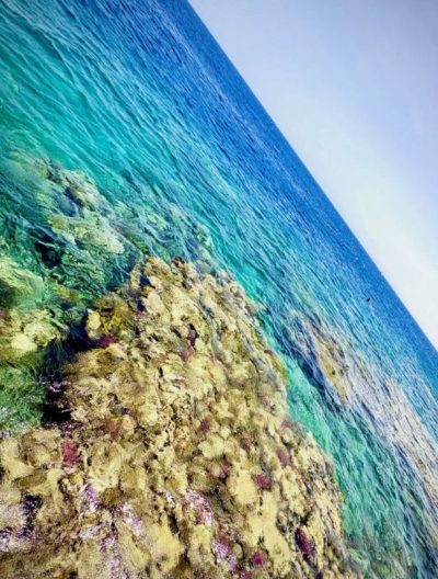 Somabay, Red Sea в июле — фото погоды (2026-07-13)