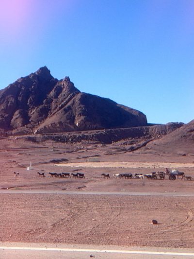 Nuweibá, Janub Sina', Egypt в июле — фото погоды (2026-07-03)