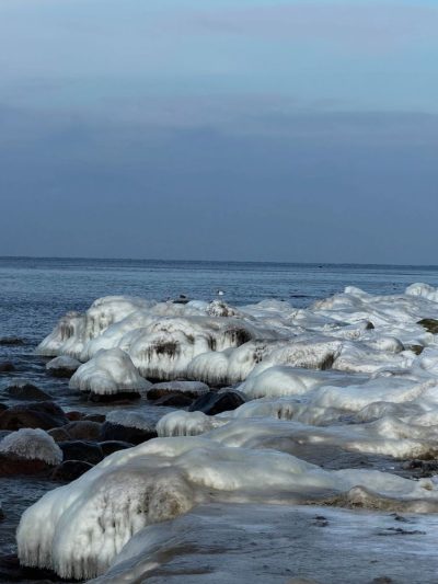 Donskoye, Kaliningradskaya Oblast', Russia в январе — фото погоды (2026-01-25)