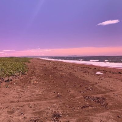 Vyselki, Sakhalinskaya Oblast', Russia в июне — фото погоды (2020-06-12)