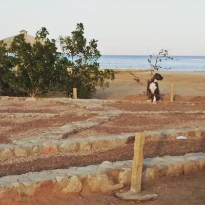 Nuwaybi` Al Muzayyinah, Janub Sina', Egypt в июне — фото погоды (2022-06-29)