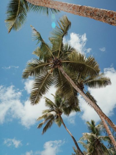 Takamaka Beach, Chez Batista в ноябре — фото погоды (2025-11-14)