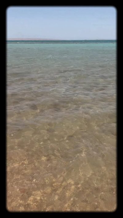 Steigenberger ALDAU Beach Hotel — фото погоды в мае (2026-05-25)