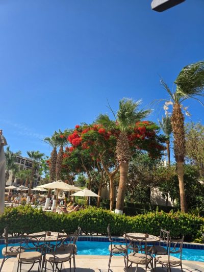 Steigenberger ALDAU Beach Hotel — фото погоды в мае (2026-05-28)