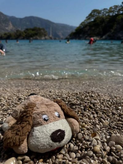 Beach of Lagoon в ноябре — фото погоды (2025-11-07)