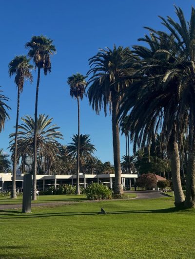 Maspalomas Golf - Gran Canaria — фото погоды в ноябре (2025-11-10)