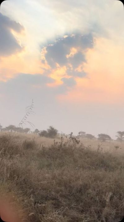 Kubu Kubu Tented Lodge в июне — фото погоды (2026-06-26)