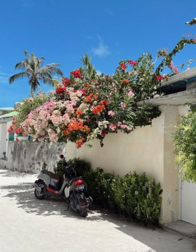 Dharavandoo Island, Maldives в октябре — фото погоды (2025-10-07)
