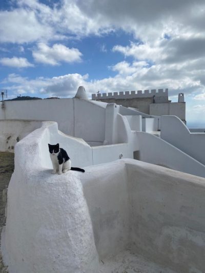 Pyrgos, Kikladhes, Greece в марте — фото погоды (2026-03-31)