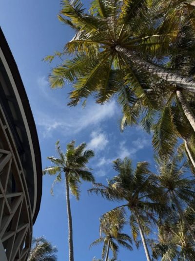 TUI BLUE Olhuveli Romance в июне — фото погоды (2026-06-22)