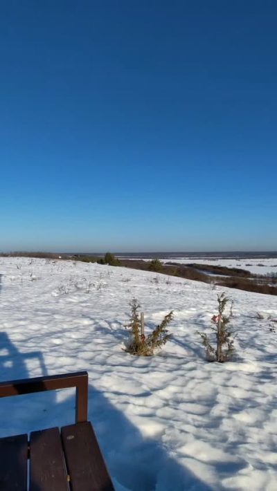 Morozovitsa, Vologodskaya Oblast', Russia в марте — фото погоды (2026-03-16)