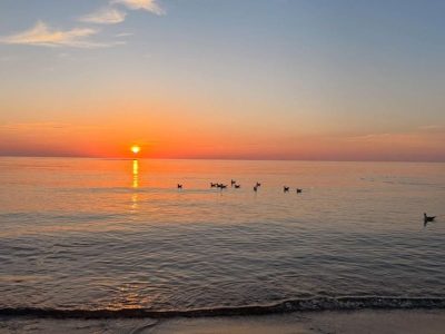 Kranz, Kaliningradskaya Oblast', Russia в июне — фото погоды (2026-06-29)