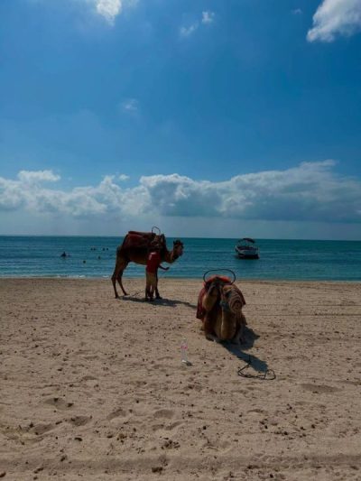 Aghir, Madanin, Tunisia в июне — фото погоды (2025-06-29)
