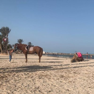 Aghir, Madanin, Tunisia в августе — фото погоды (2025-08-10)