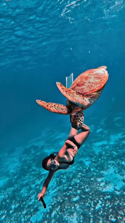 Balicasag, Bohol, Philippines в январе — фото погоды (2026-01-29)