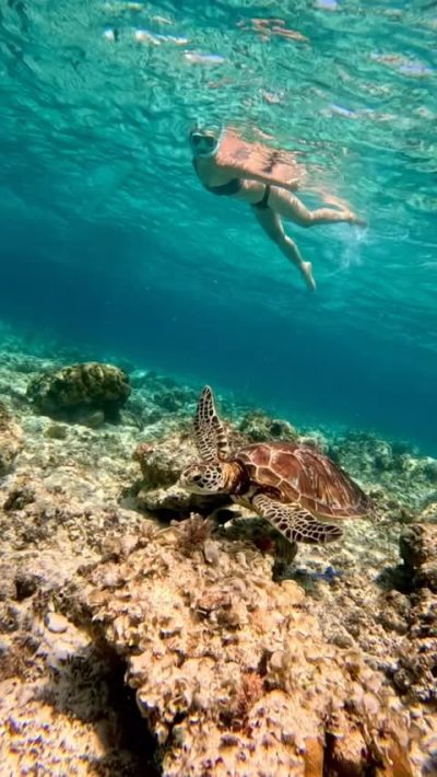 Balicasag, Bohol, Philippines в мае — фото погоды (2026-05-01)