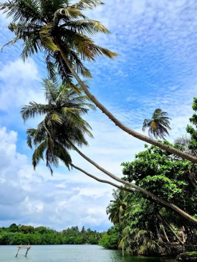 Koggala, Sri Lanka в марте — фото погоды (2026-03-01)