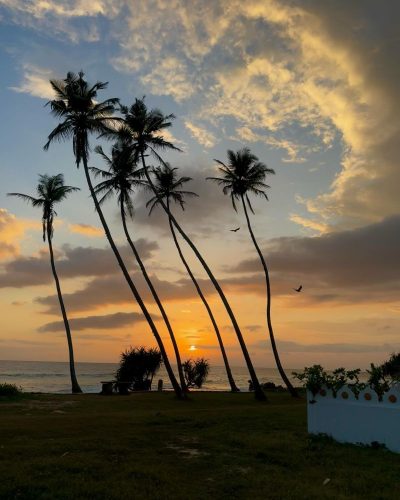 Koggala, Sri Lanka в апреле — фото погоды (2026-04-10)