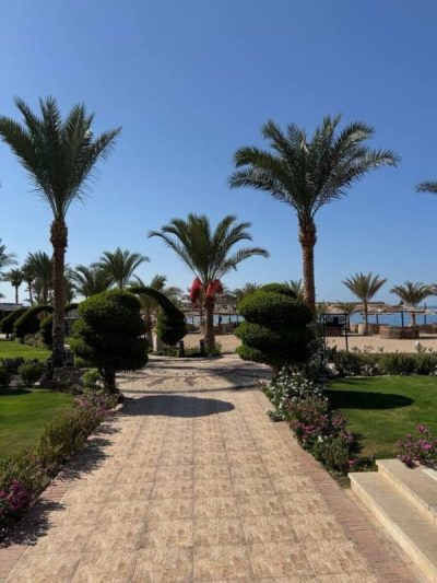 Safaga,Red Sea,Egypt в июле — фото погоды (2026-07-21)