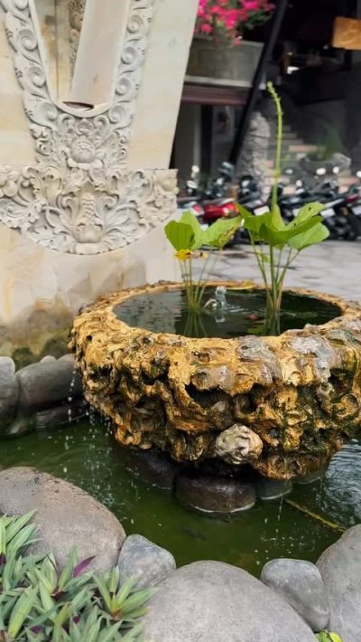 Убуд в ноябре — фото погоды (2025-11-01)