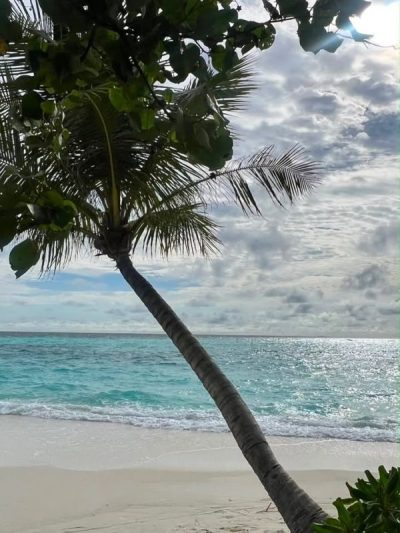 Nova Maldives в июне — фото погоды (2026-06-30)