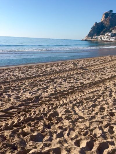 Poniente Beach Benidorm в марте — фото погоды (2026-03-30)