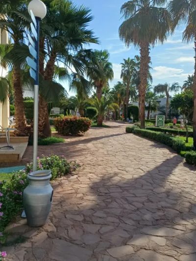 Sharm El Sheik в ноябре — фото погоды (2025-11-29)