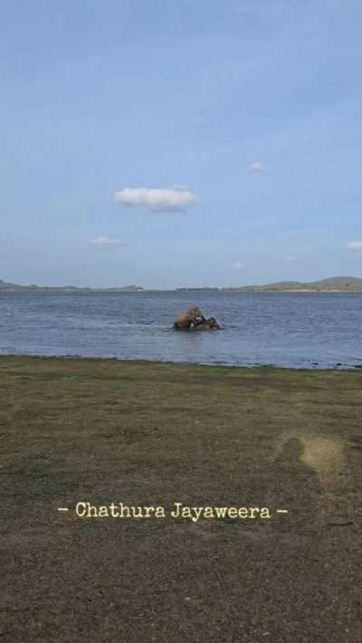 Minneriya National Park в августе — фото погоды (2025-08-30)
