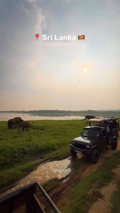 Minneriya National Park в апреле — фото погоды (2026-04-26)