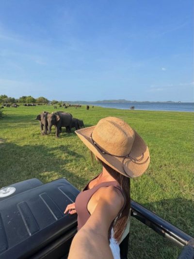Minneriya National Park в июне — фото погоды (2026-06-29)