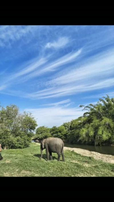 Minneriya National Park в июле — фото погоды (2026-07-03)