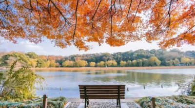 West Lake в октябре — фото погоды (2025-10-22)