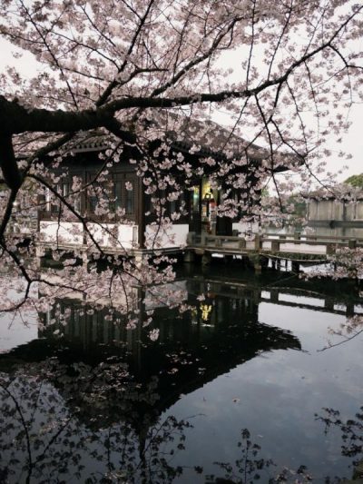 West Lake в марте — фото погоды (2026-03-28)