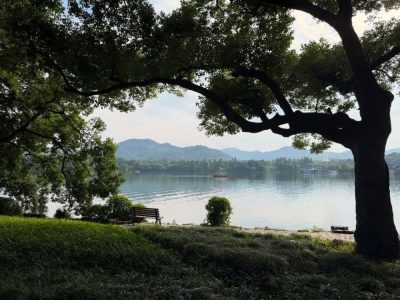 West Lake в июне — фото погоды (2026-06-12)