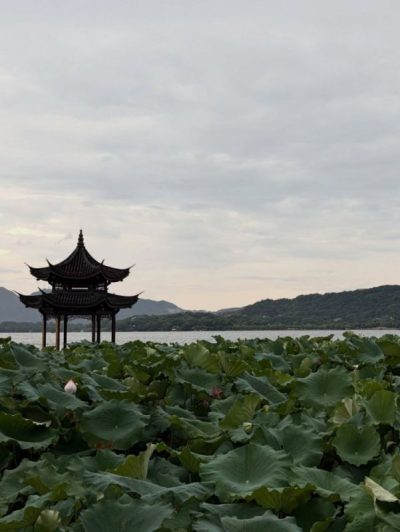 West Lake в июле — фото погоды (2026-07-21)