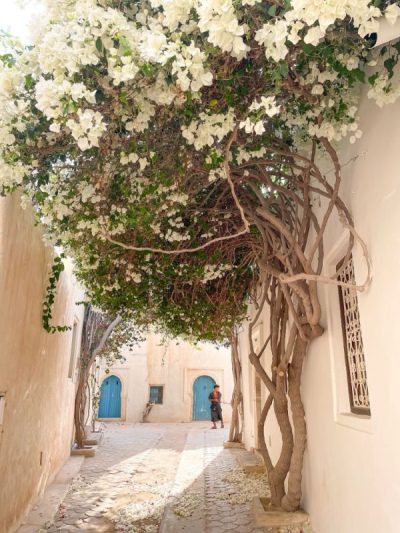 Djerbahood в ноябре — фото погоды (2025-11-03)