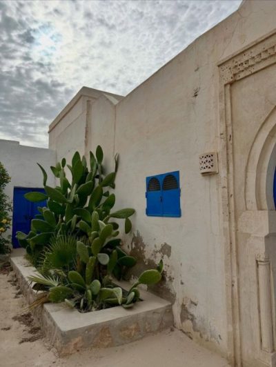 Djerbahood в декабре — фото погоды (2025-12-16)