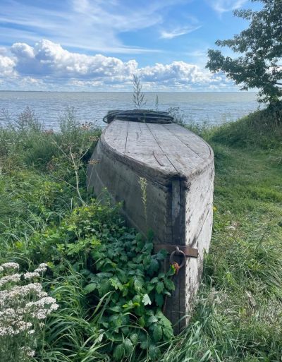 Curonian Spit National Park в августе — фото погоды (2025-08-29)