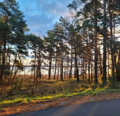 Curonian Spit National Park в ноябре — фото погоды (2025-11-28)