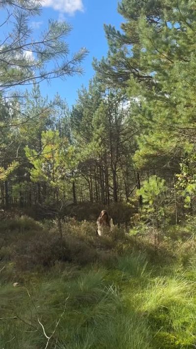 Curonian Spit National Park в апреле — фото погоды (2026-04-15)