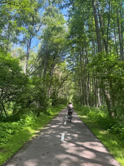 Curonian Spit National Park в июне — фото погоды (2026-06-30)