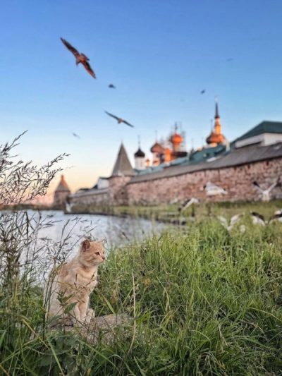 Solovetsky Monastery в июле — фото погоды (2025-07-21)