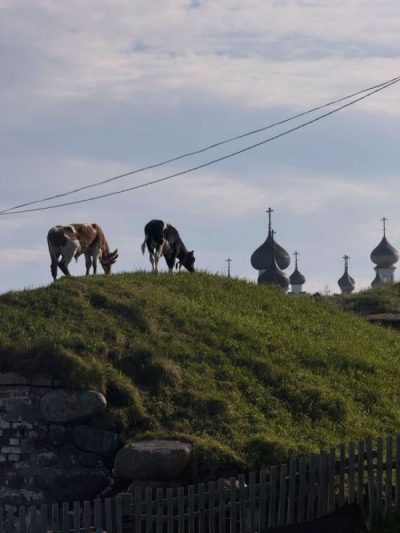 Solovetsky Monastery в июне — фото погоды (2026-06-30)